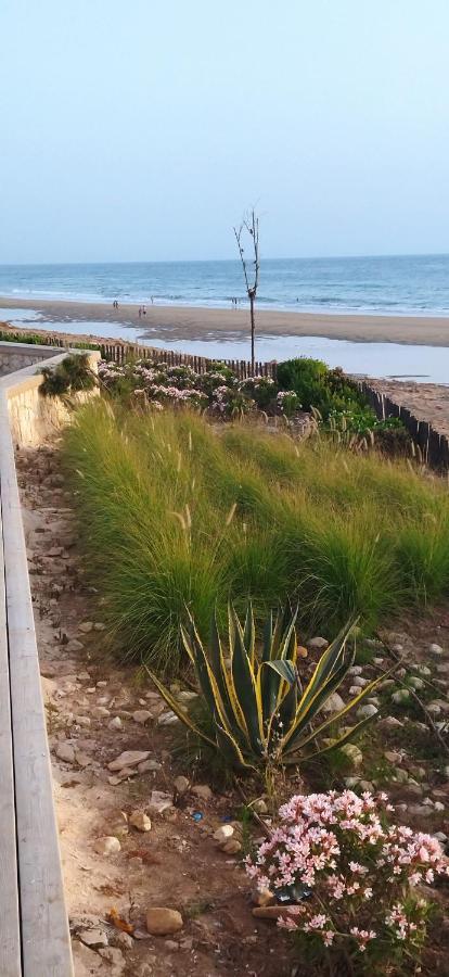 Appart Oubaha Tamrakht Taghazout Agadir Exterior foto